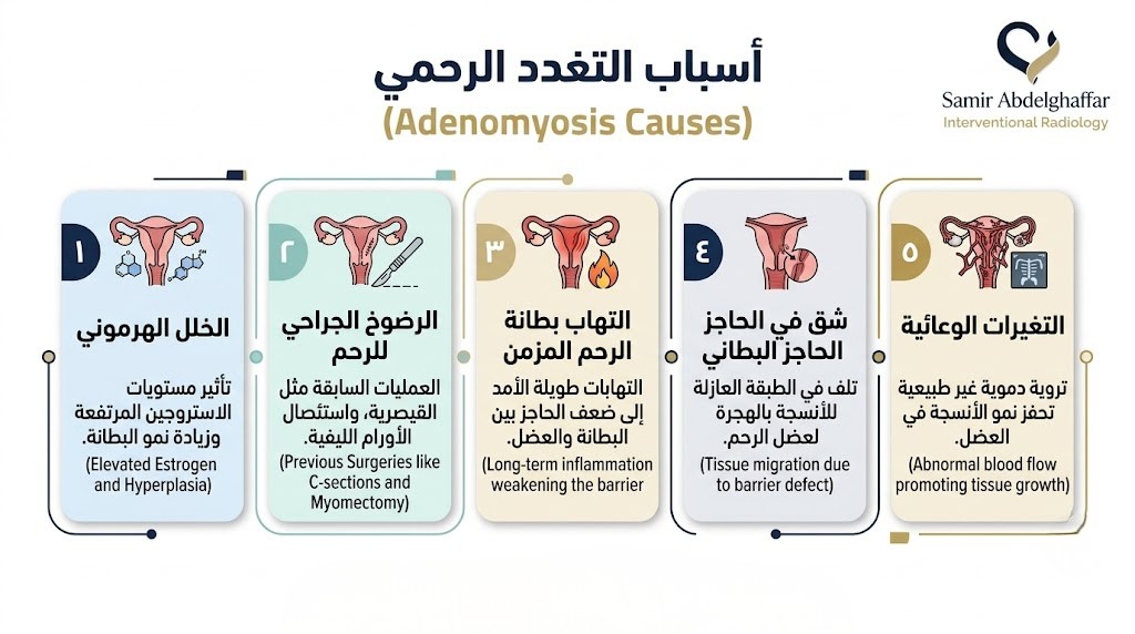  أسباب التغدد الرحمي: لماذا يحدث هذا؟