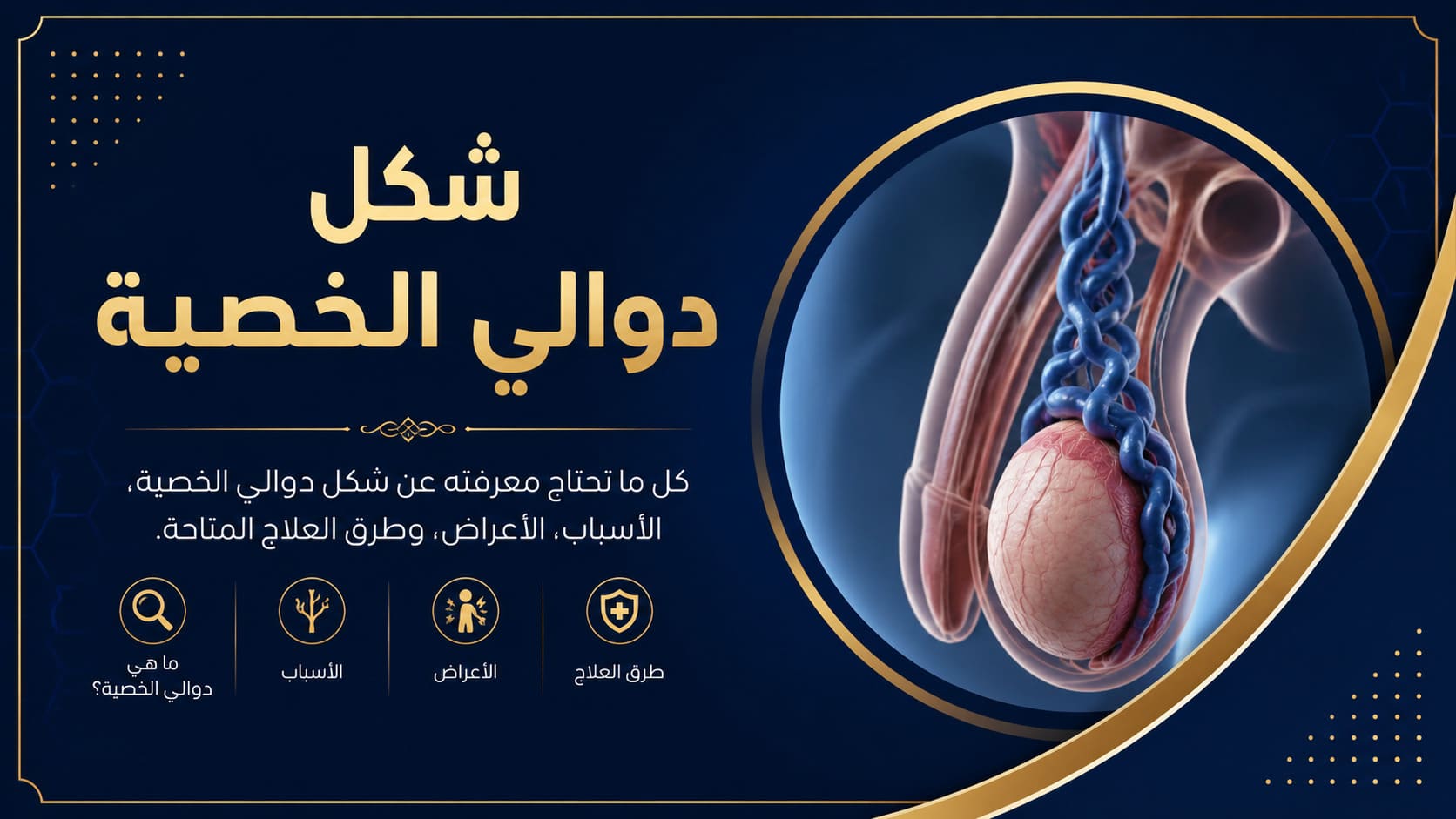 اعرف درجات دوالي الخصية بالصور 2 شكل دوالي الخصية