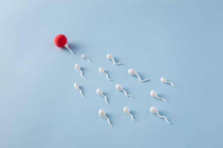 متى تتحسن حركة الحيوانات بعد عملية الدوالي؟