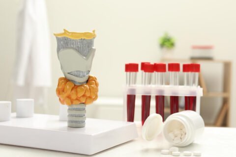 كيف تقرأ تحليل الغدة الدرقية