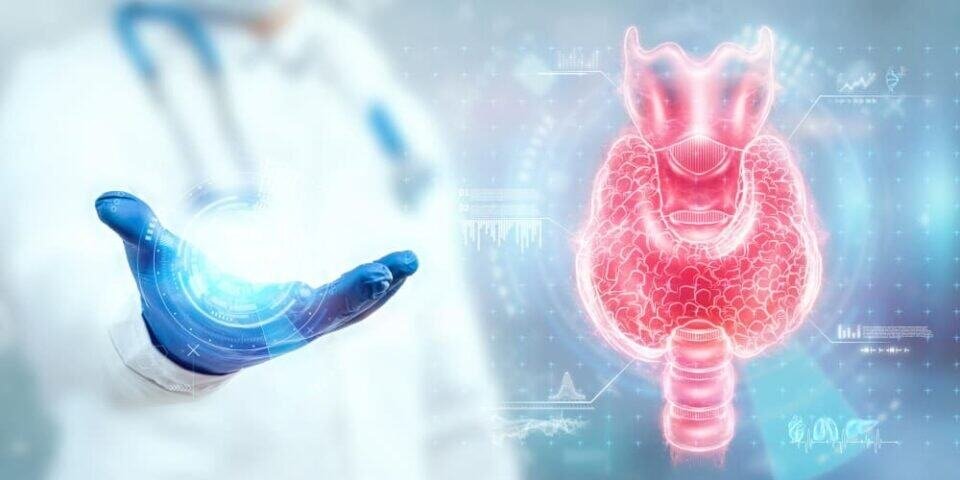 تحاليل الغدة الدرقية
