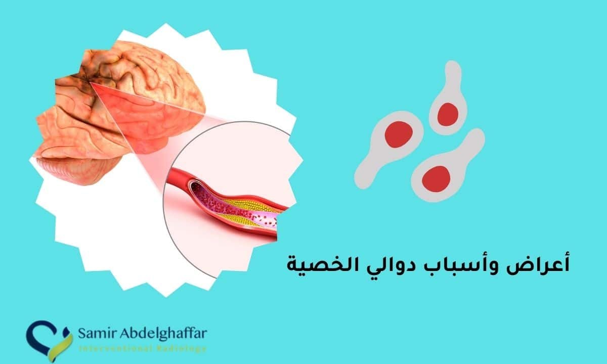 Dr Samir Abdelghaffar Dr Samir Abdelghaffar