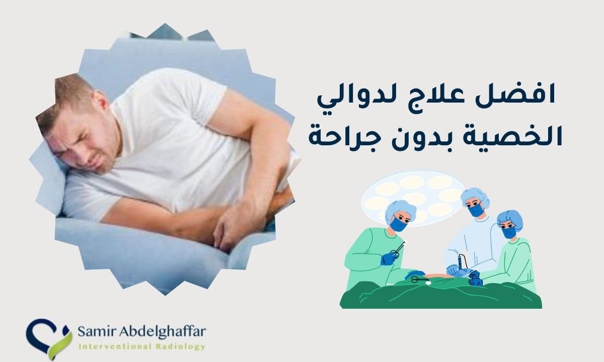 Dr Samir Abdelghaffar Dr Samir Abdelghaffar